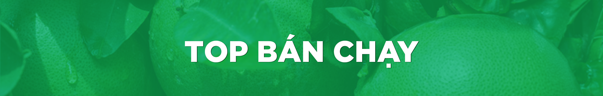 BANNER BÁN CHẠY