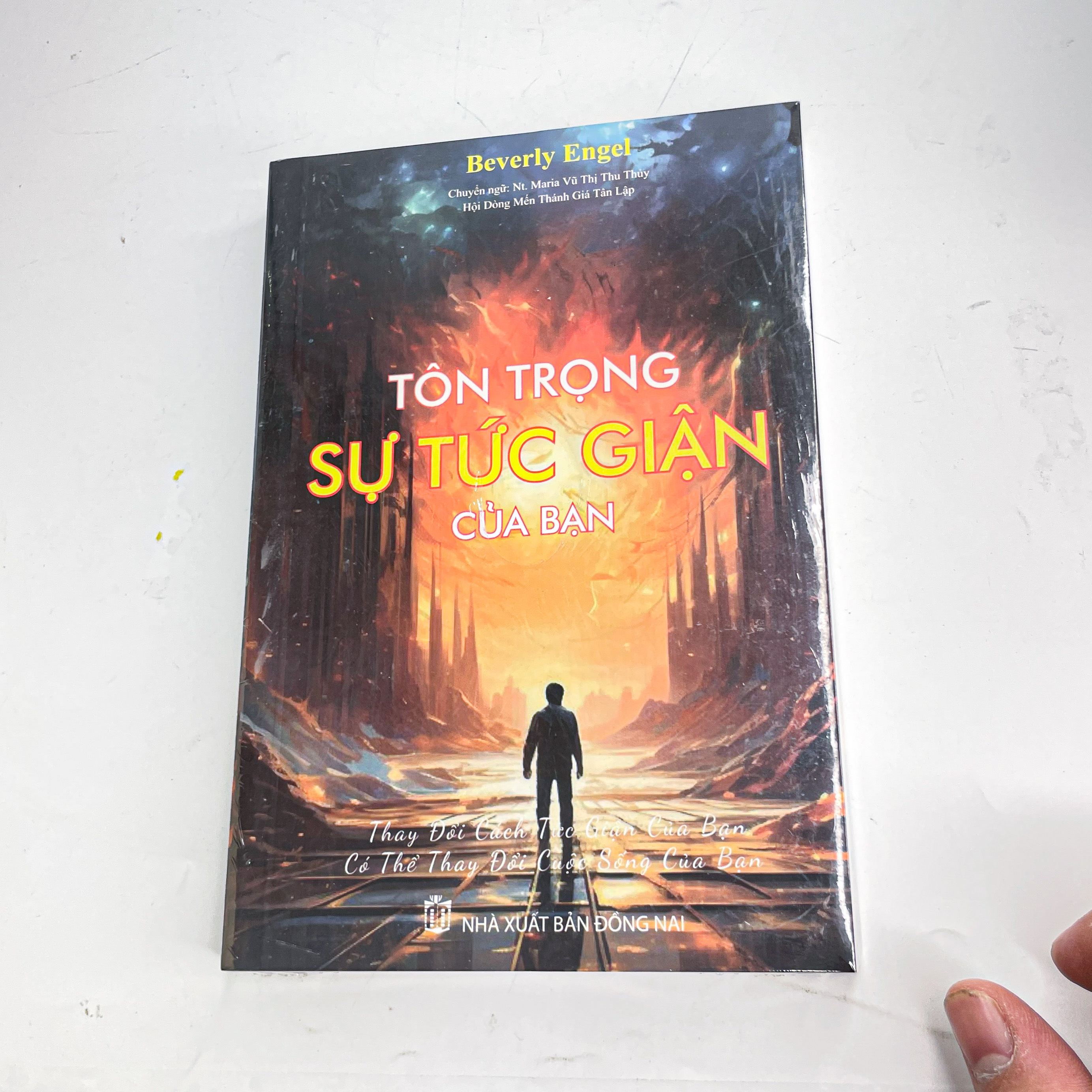 Tôn trọng sự tức giận cua bạn_thumbnail_0