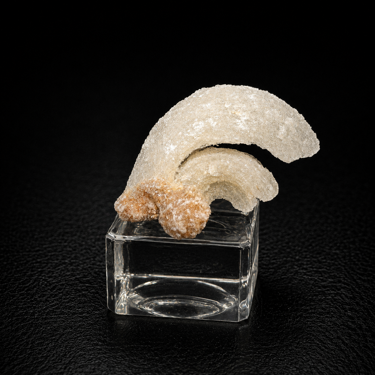 Ram's-horn Selenite - Selenite sừng cừu - Quảng Đông, Trung Quốc_thumbnail_2
