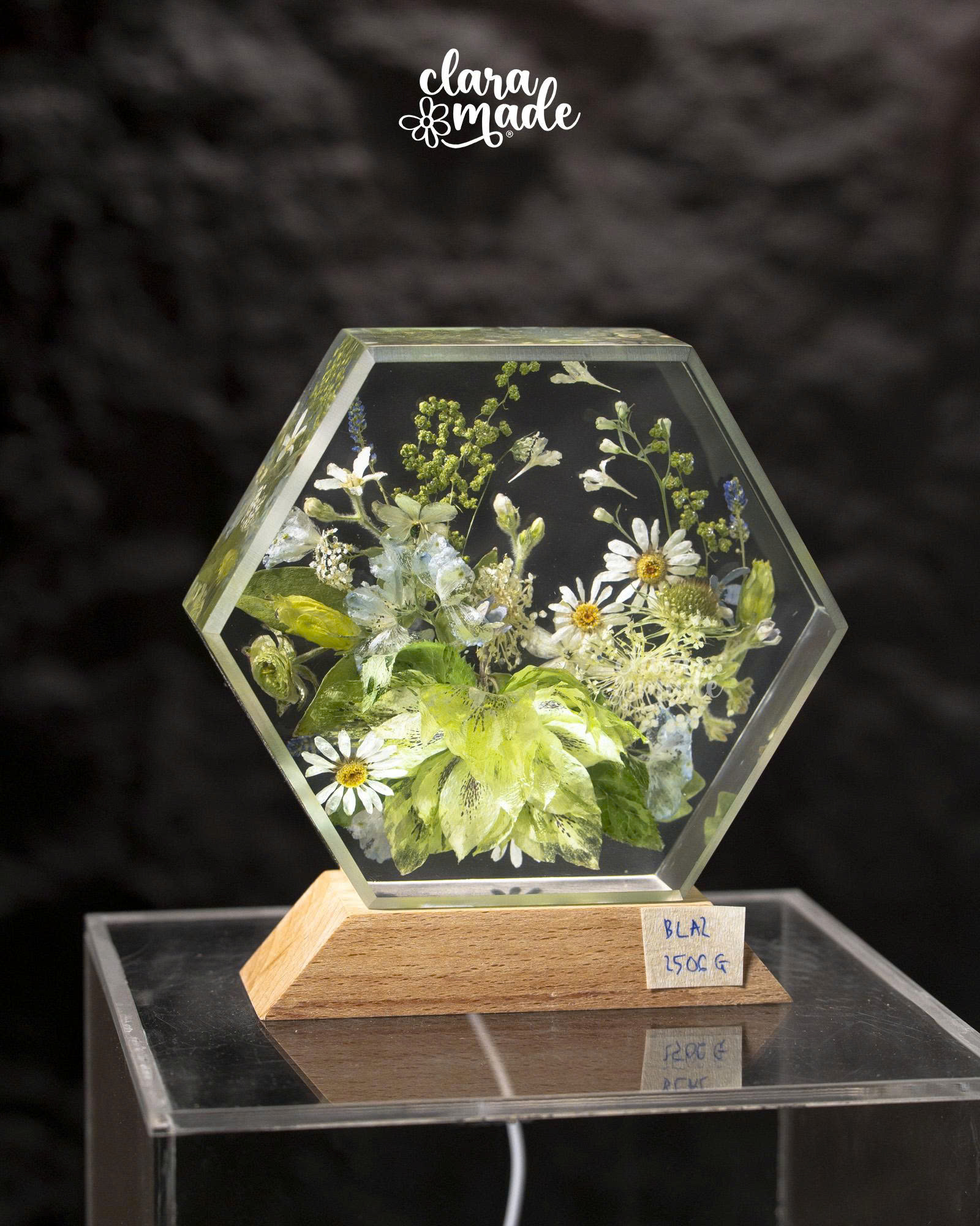 Đèn hoa khô Bloomlight Garden 2606_thumbnail_22