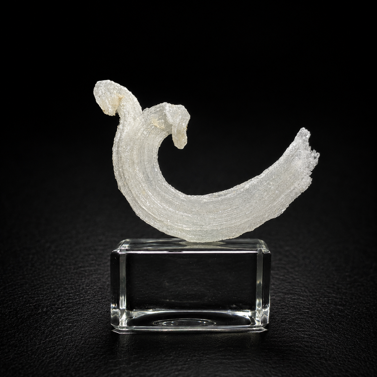 Ram's-horn Selenite - Selenite sừng cừu - Quảng Đông, Trung Quốc