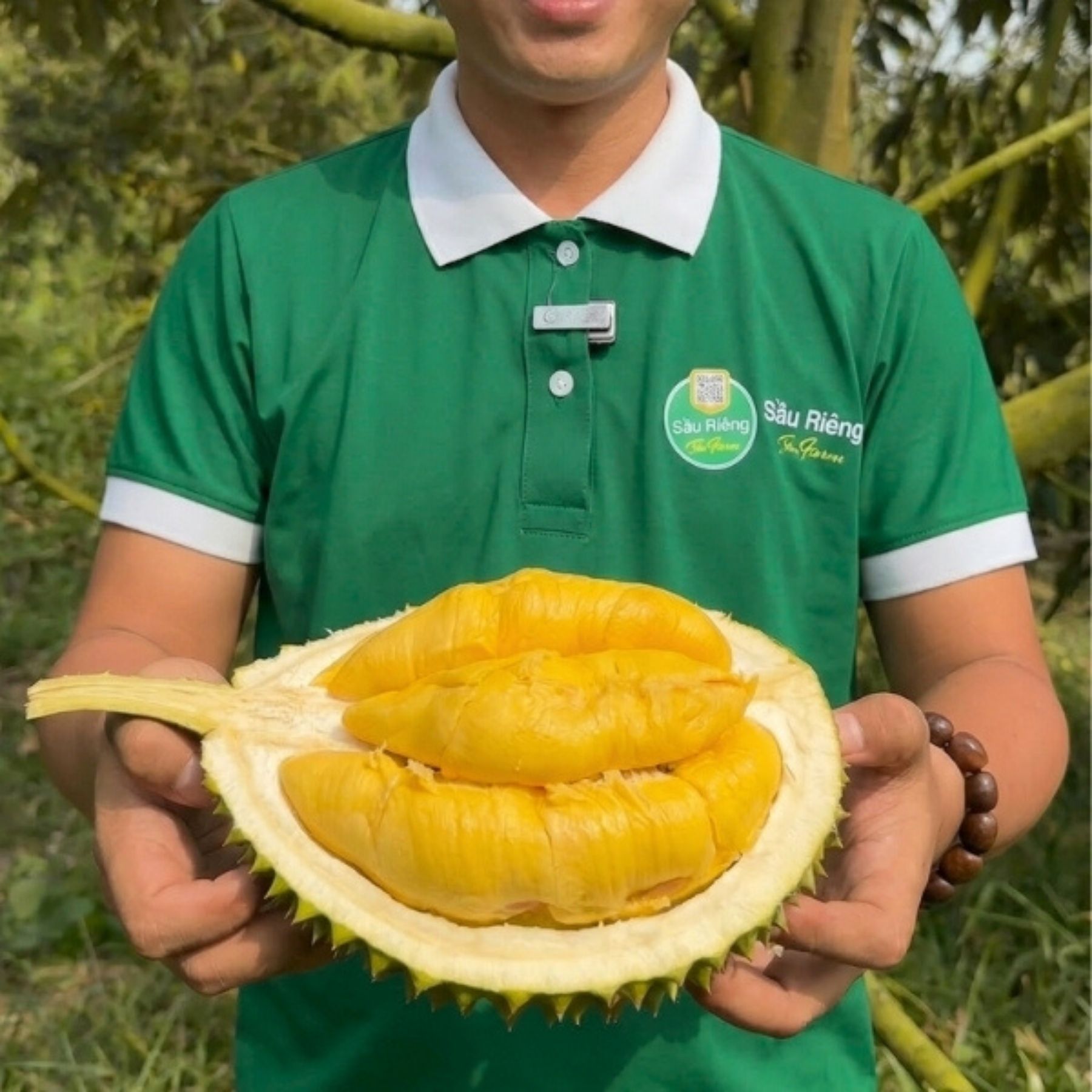 Trái - Sầu riêng Musang King - Khui sầu_thumbnail_2