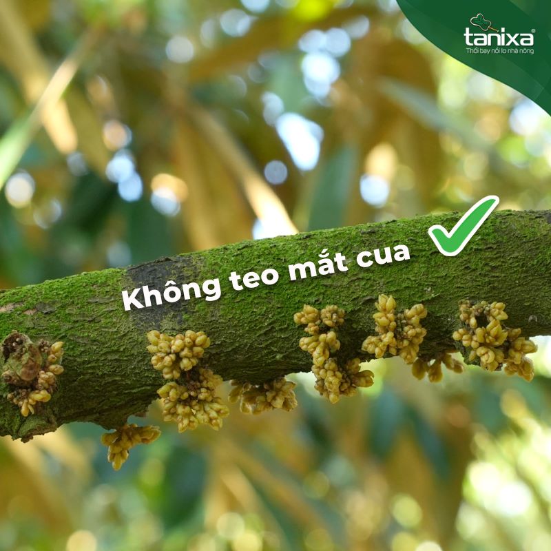 Bộ đóng băng đọt_thumbnail_6