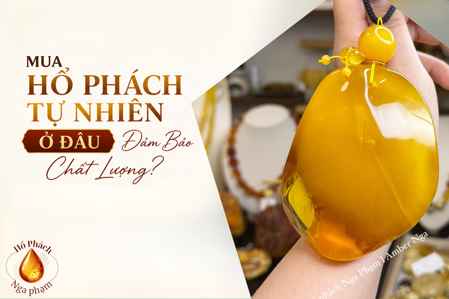 Mua Hổ Phách Tự Nhiên Ở Đâu Đảm Bảo Chất Lượng?