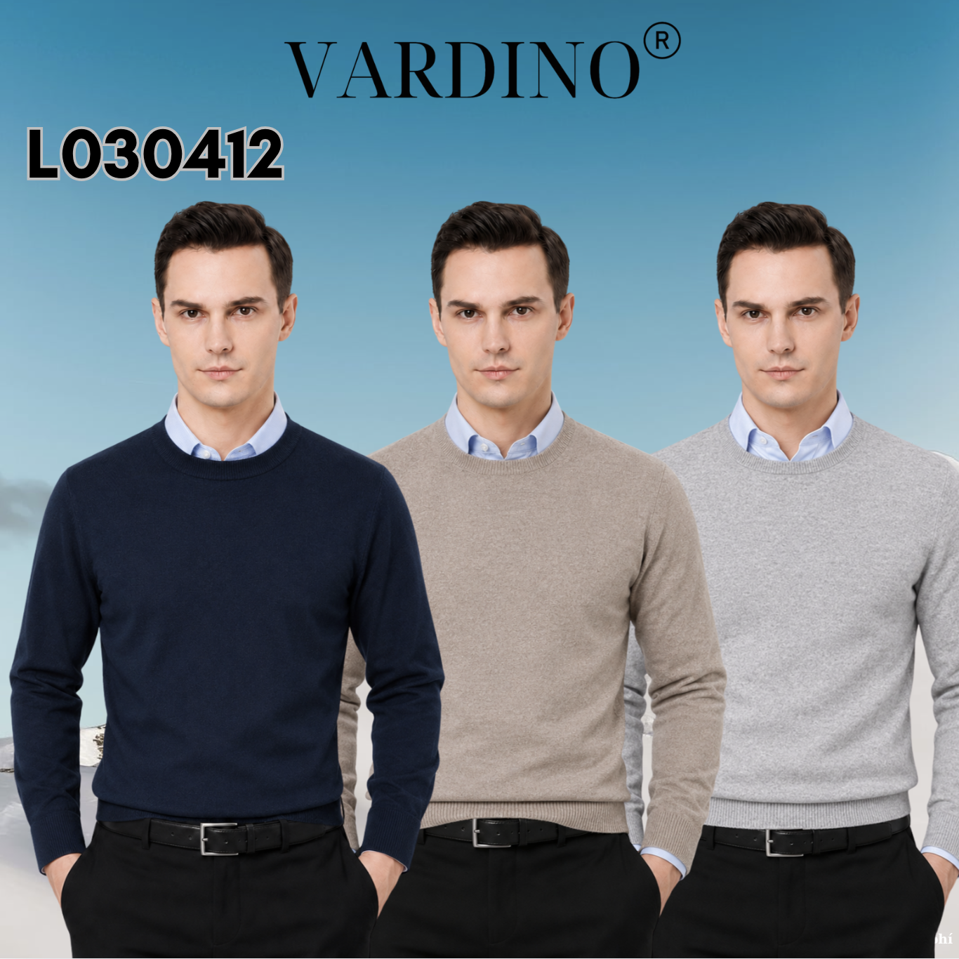Áo len cashmere nam Vardino L030412