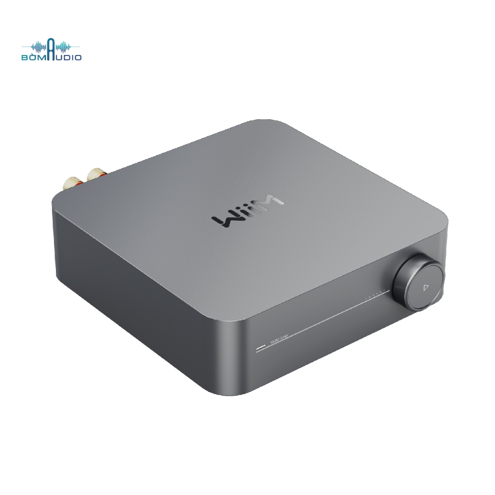 Music Streaming Amplifier WIIM AMP_thumbnail_2