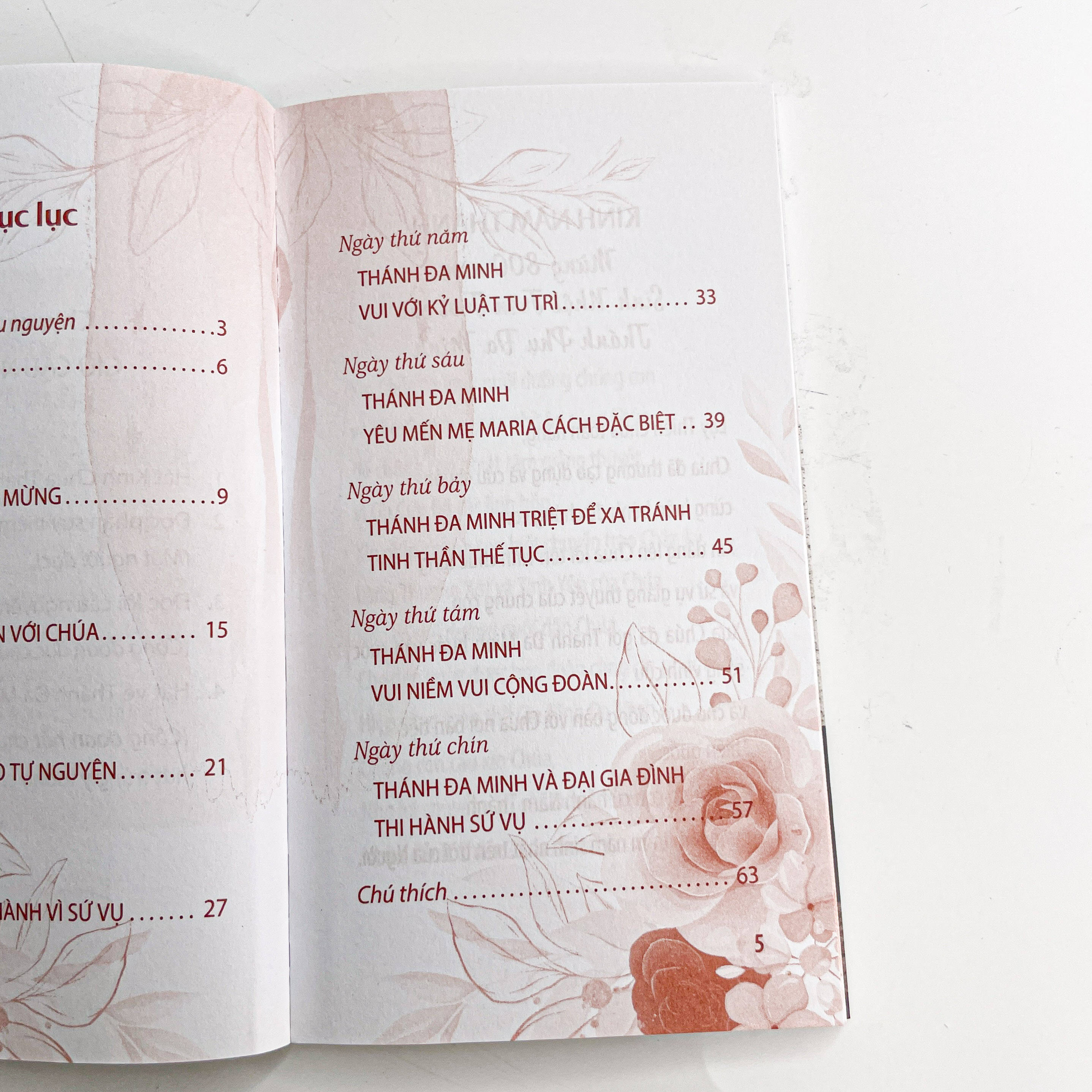 Tuần cửu nhật kính Cha Thánh Đaminh_thumbnail_2