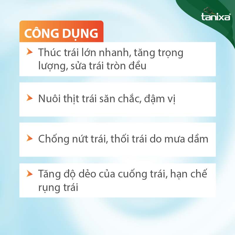 Bộ thúc trái - lên cơm Tanixa (nhỏ)_thumbnail_3
