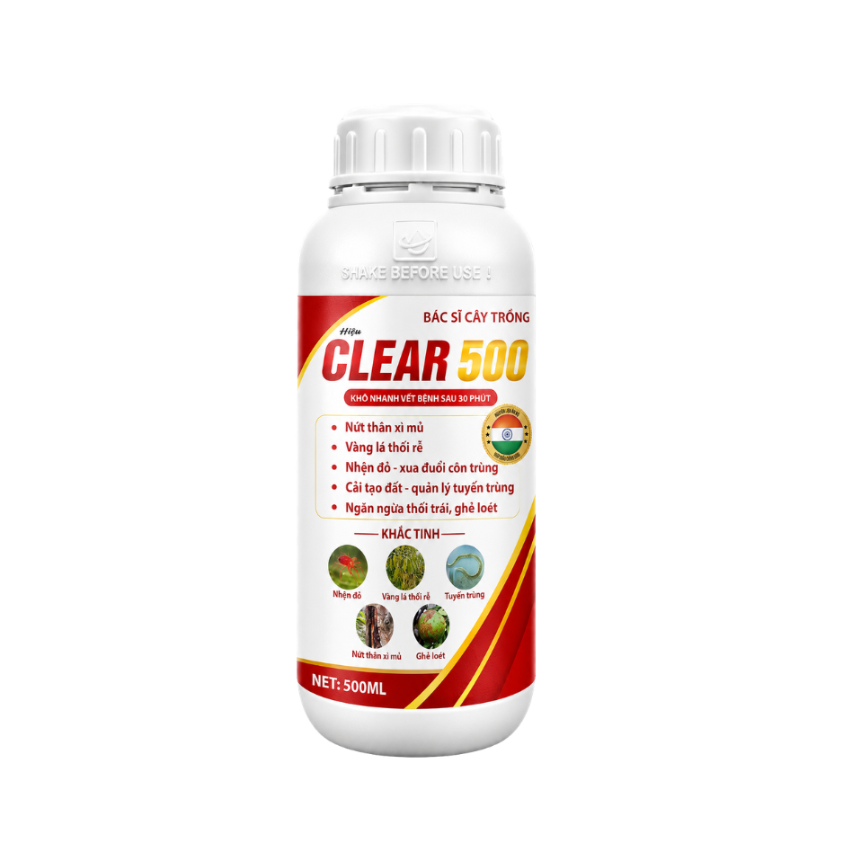 CLEAR 500