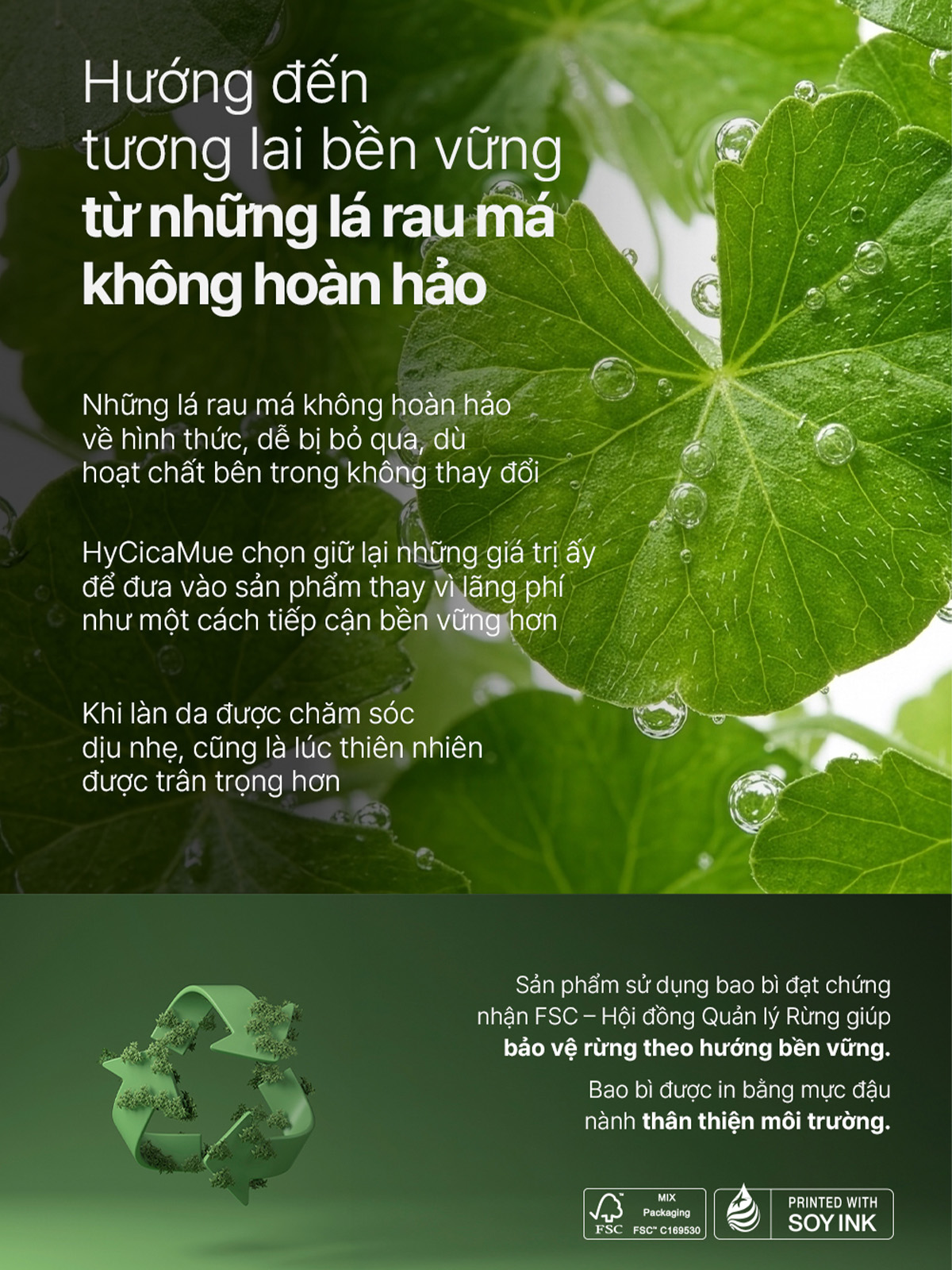 Nước tẩy trang Elravie Hycicamue Cleansing Water_thumbnail_12