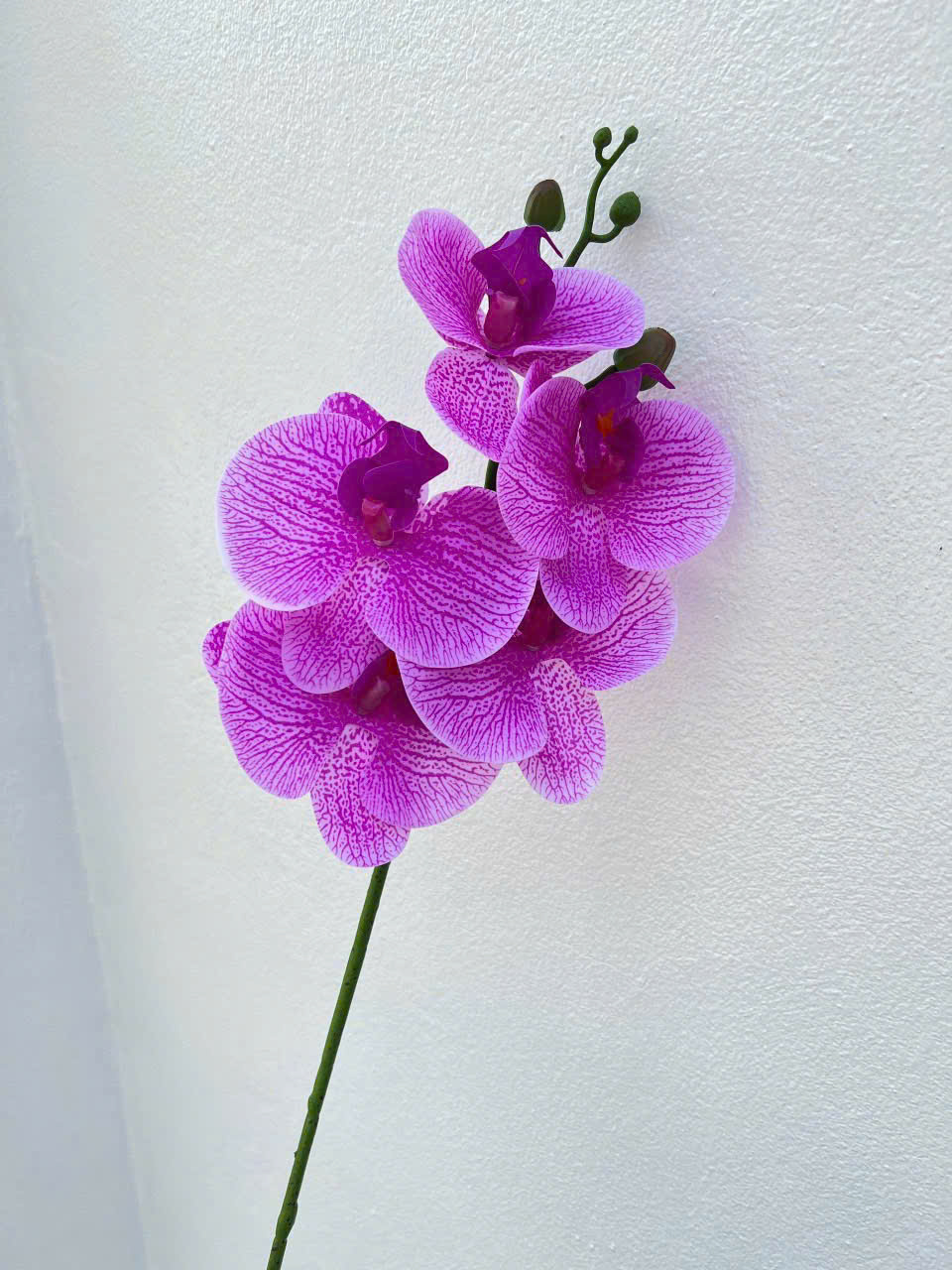 Cành Lan Ướt 7 Bông Hoa Lụa Trang Trí Đám Cưới – Sang Trọng Như Hoa Thật, Decor Sự Kiện Cao Cấp, Bền Đẹp Tiết Kiệm_thumbnail_25