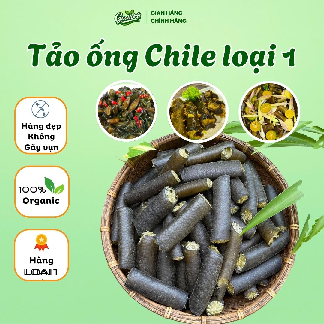 Tảo ống Chile