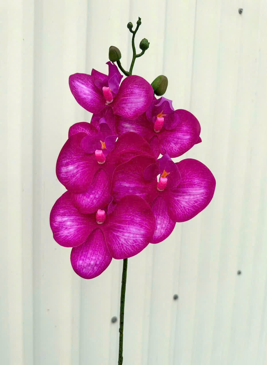 Cành Lan Ướt 7 Bông Hoa Lụa Trang Trí Đám Cưới – Sang Trọng Như Hoa Thật, Decor Sự Kiện Cao Cấp, Bền Đẹp Tiết Kiệm