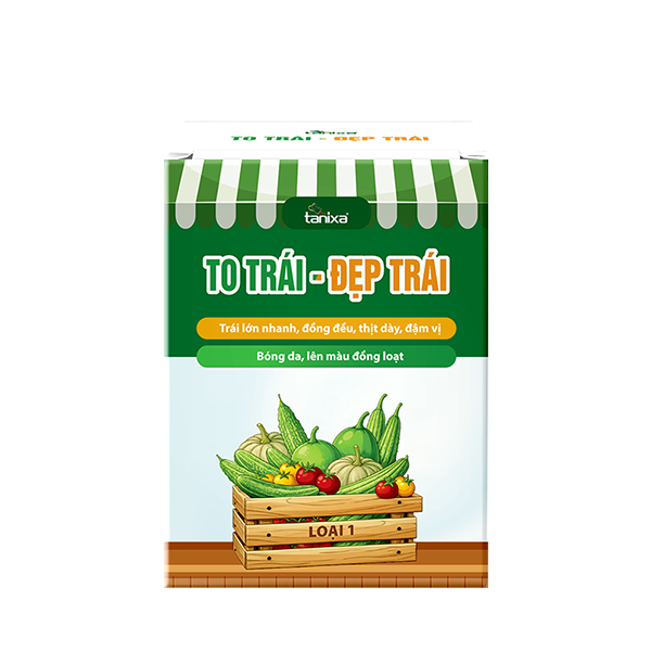 Bộ chuyên to trái - Đẹp trái Tanixa