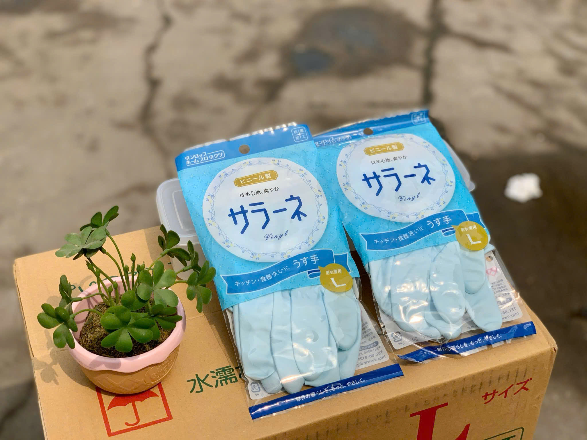 SET 2 GĂNG TAY CAO SU RỬA BÁT NHẬT BẢN_thumbnail_4