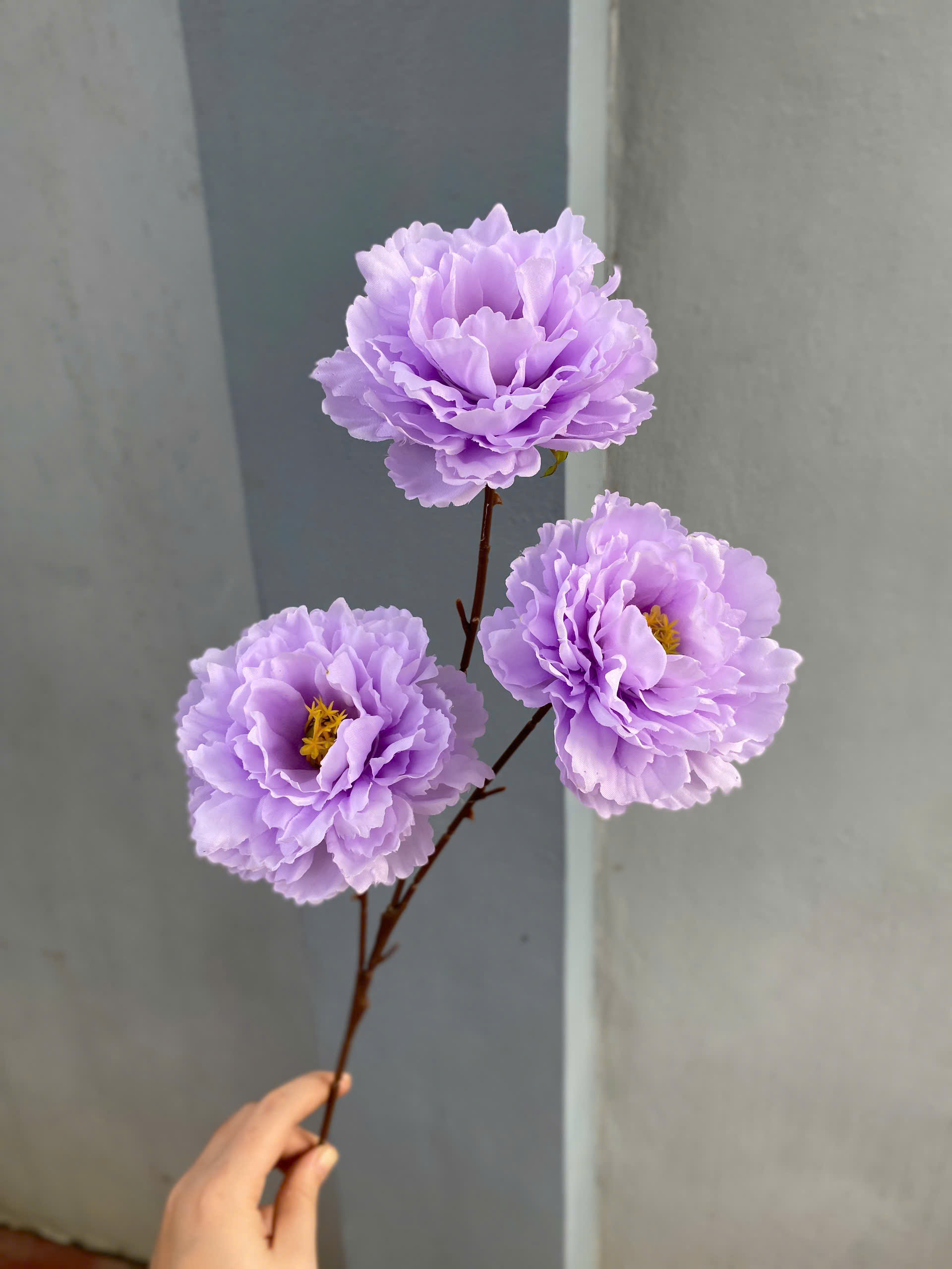 CÀNH MỘC TRÀ 3 BÔNG_thumbnail_8
