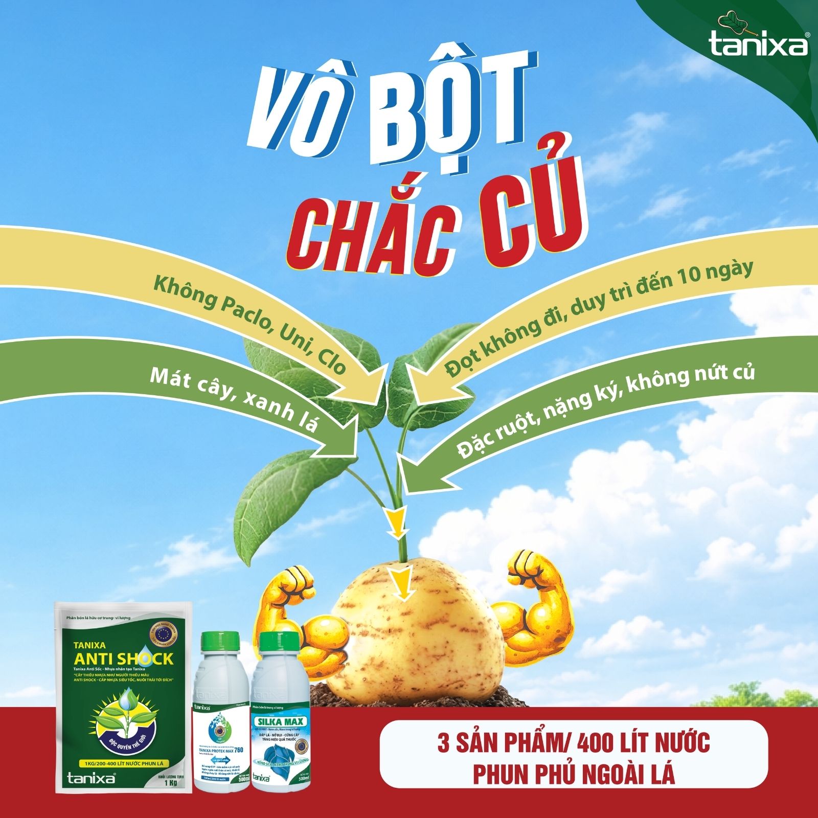 Bộ vô bột- chắc củ Tanixa_thumbnail_9