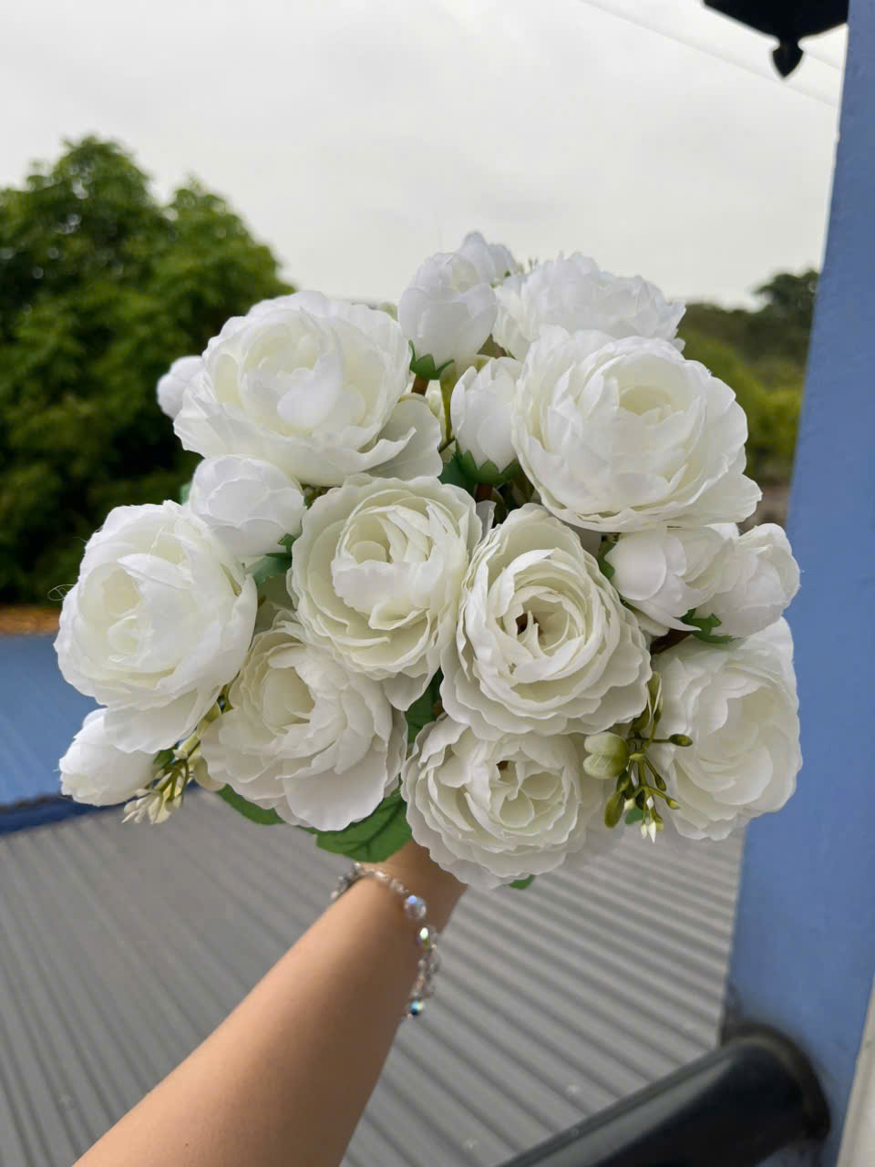 CỤM TRÀ NGỌC_thumbnail_4