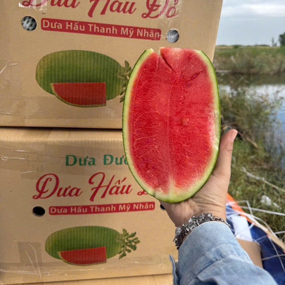 Dưa Hấu Đường_thumbnail_3