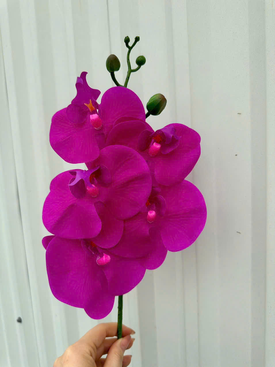 Cành Lan Ướt 7 Bông Hoa Lụa Trang Trí Đám Cưới – Sang Trọng Như Hoa Thật, Decor Sự Kiện Cao Cấp, Bền Đẹp Tiết Kiệm_thumbnail_19