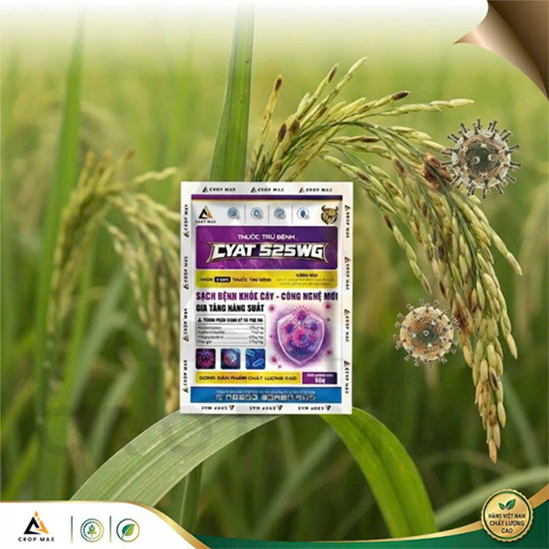 CYAT 525WG – Thuốc trừ bệnh phổ rộng, sạch bệnh nhanh, phục hồi cây mạnh_thumbnail_3