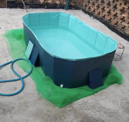 Bể Bơi Gấp Gọn Không Cần Bơm Hơi Cao Cấp_thumbnail_8