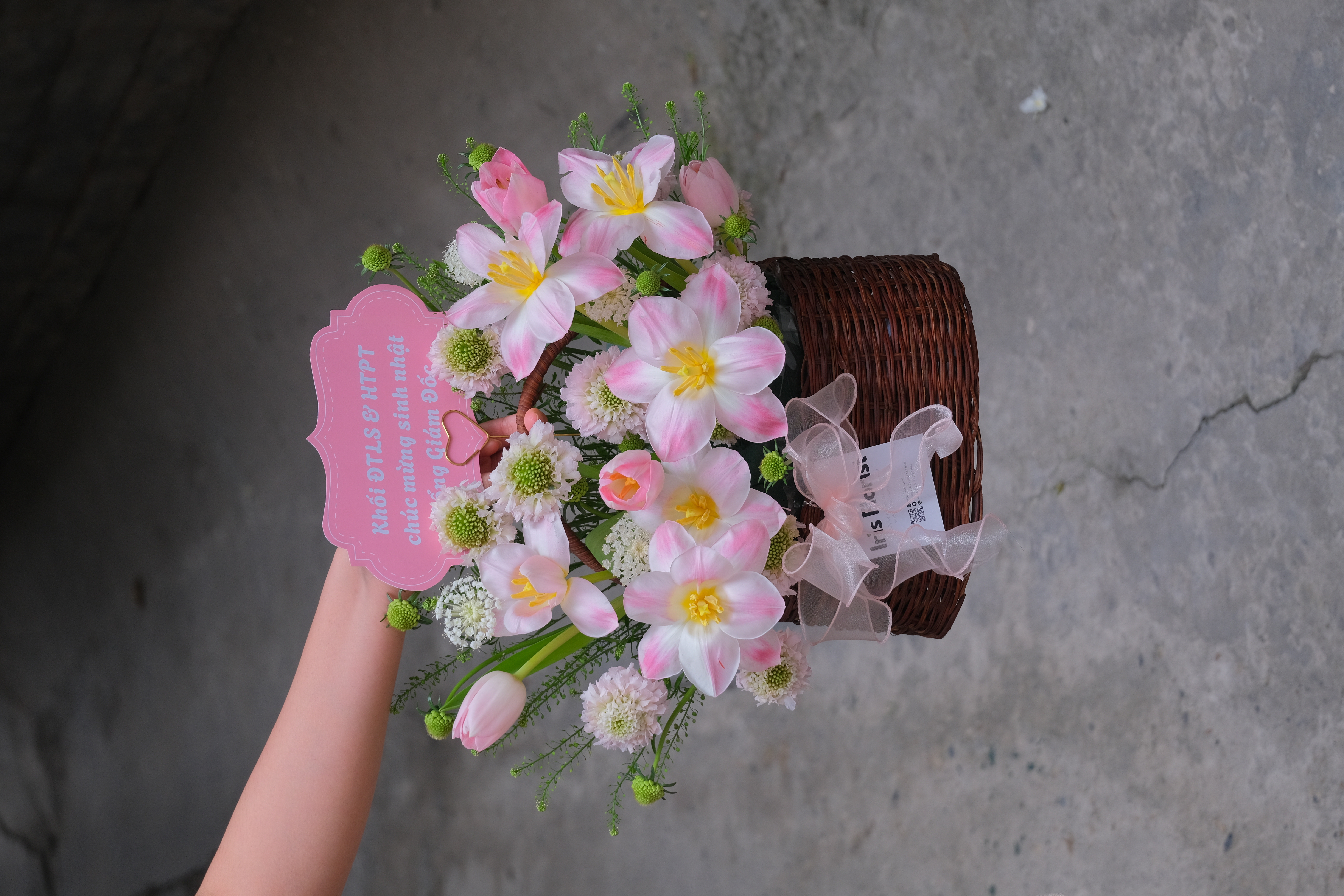 Giỏ mây hoa Tulip hồng mix