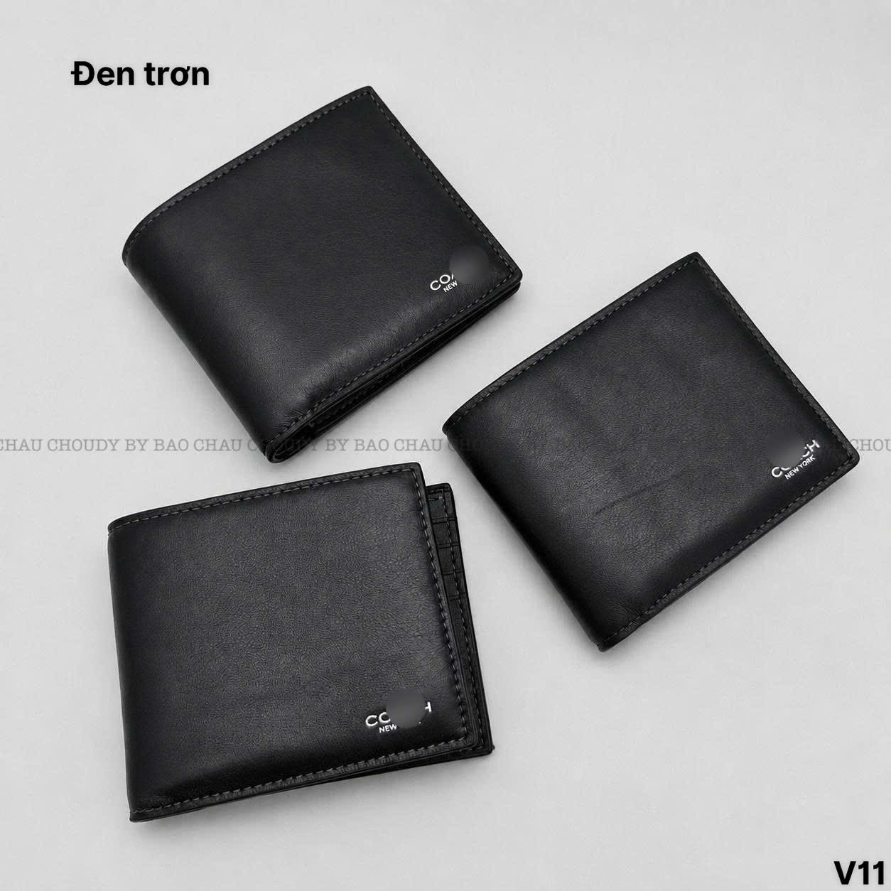 V11_thumbnail_1