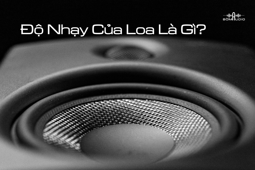 Độ Nhạy Của Loa Là Gì? Ảnh Hưởng Gì Đến Chất Lượng Âm Thanh