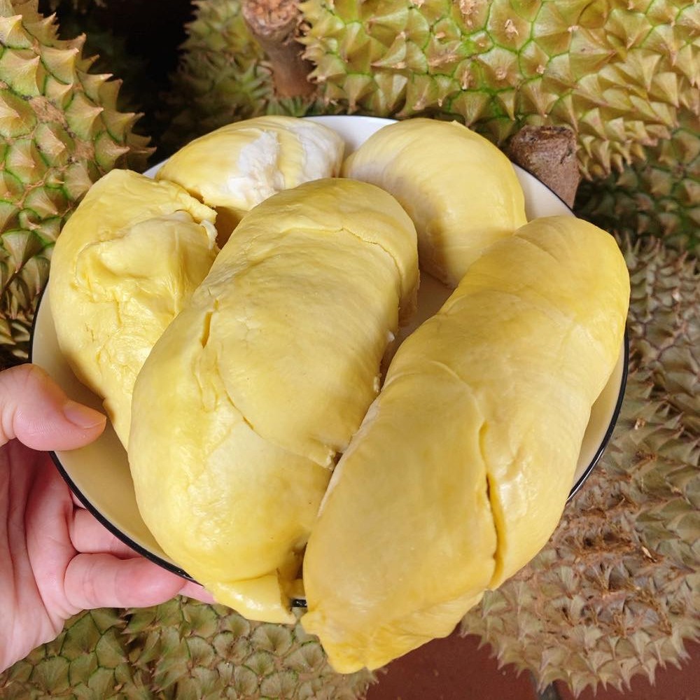 Sầu Riêng Thái_thumbnail_4