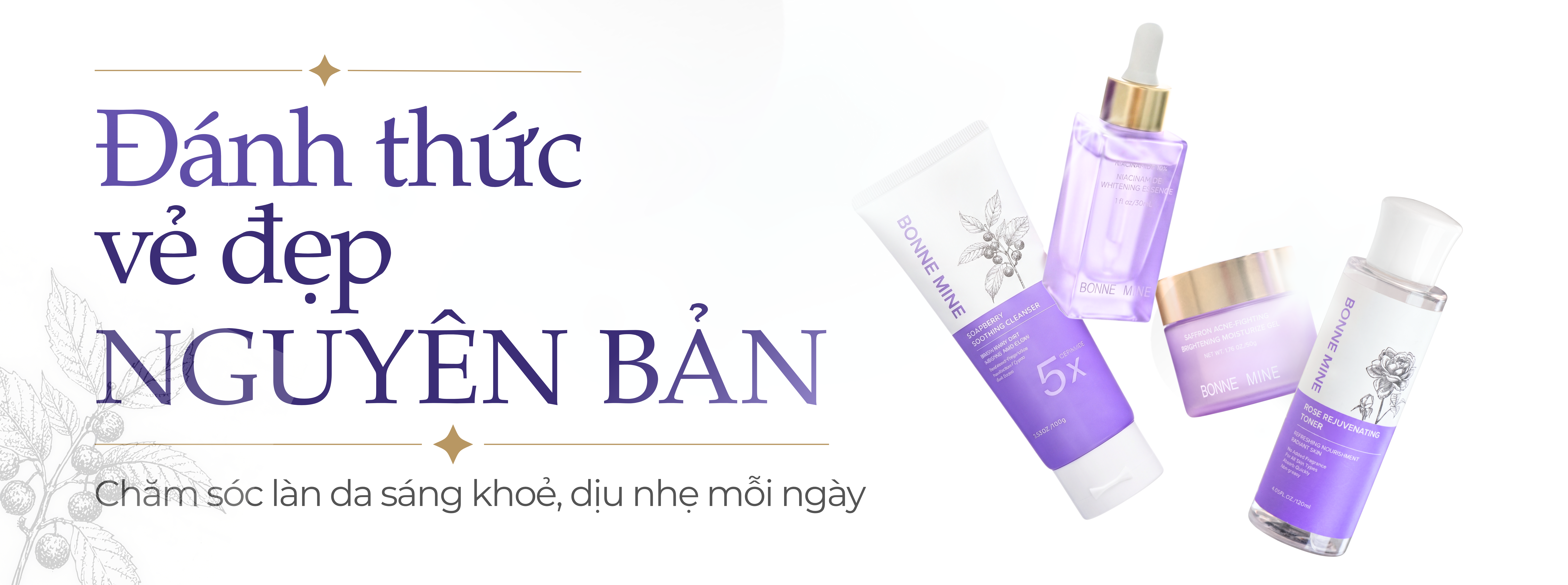 Website - 2545x950 Banner