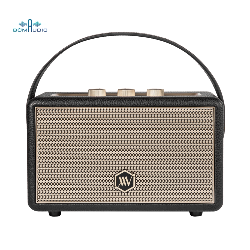 Loa Bluetooth ALPHA WORKS AW-W88