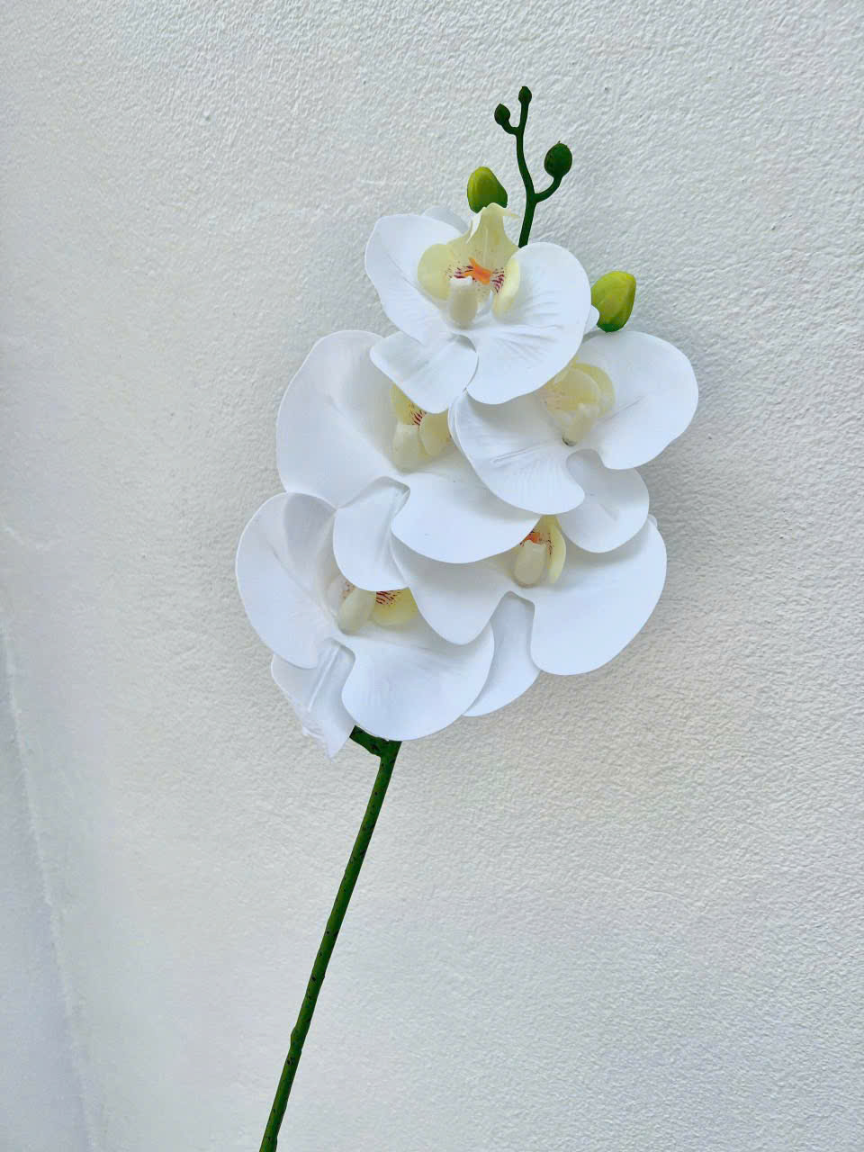 Cành Lan Ướt 7 Bông Hoa Lụa Trang Trí Đám Cưới – Sang Trọng Như Hoa Thật, Decor Sự Kiện Cao Cấp, Bền Đẹp Tiết Kiệm_thumbnail_2