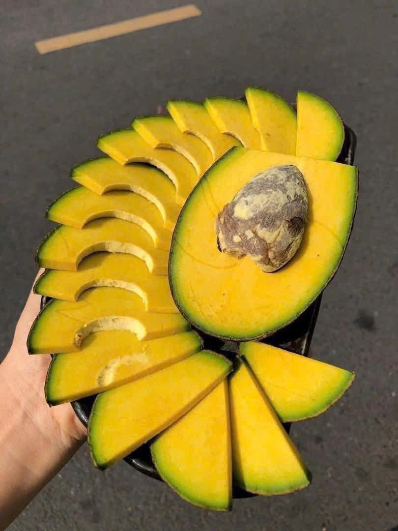 Bơ Cuba_thumbnail_3