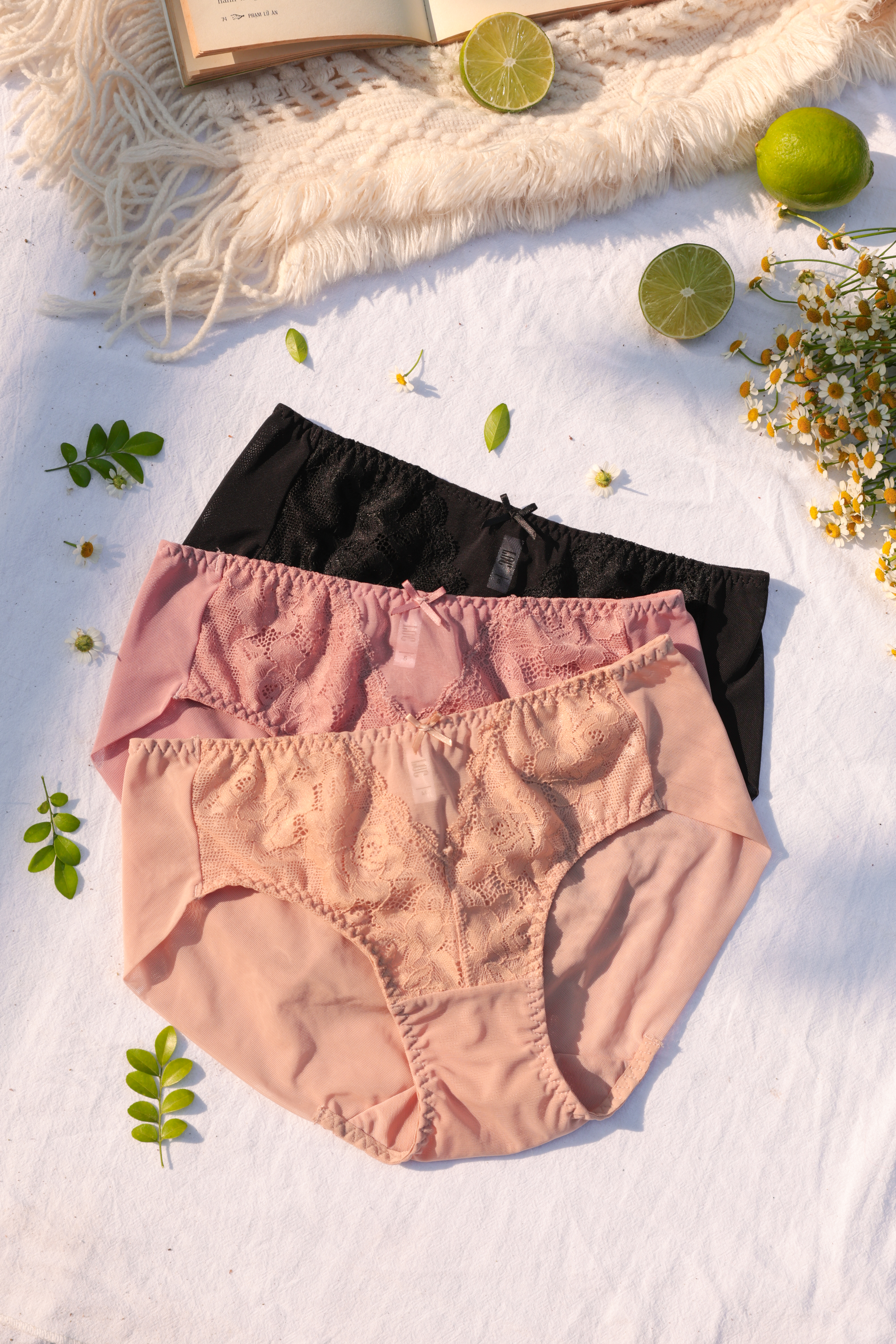 COMBO 3 Quần Lót LOC PREMIUM Lưng Vừa Phối Ren Trà My