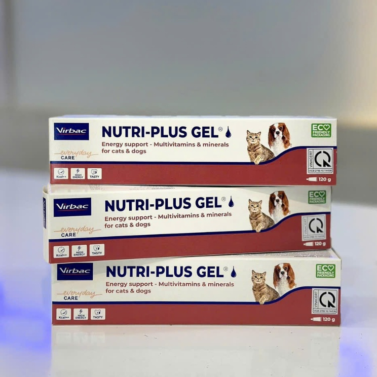 Gel dinh dưỡng cho chó mèo Nutri-plus gel Virbac 120.5gr – Tăng cường miễn dịch, bổ sung năng lượng