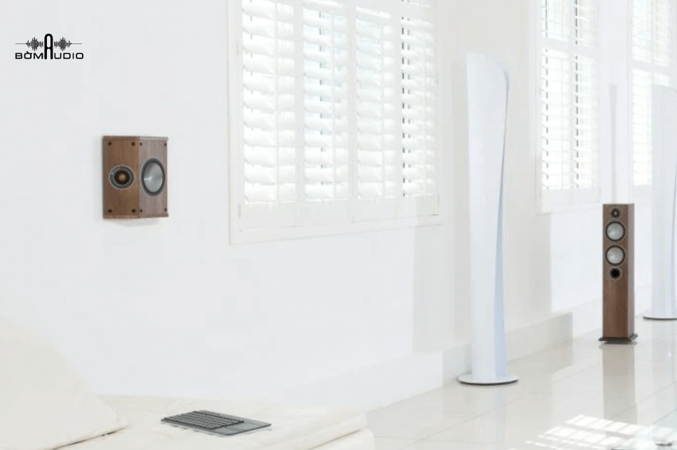 Kết cấu màng loa C- CAM 