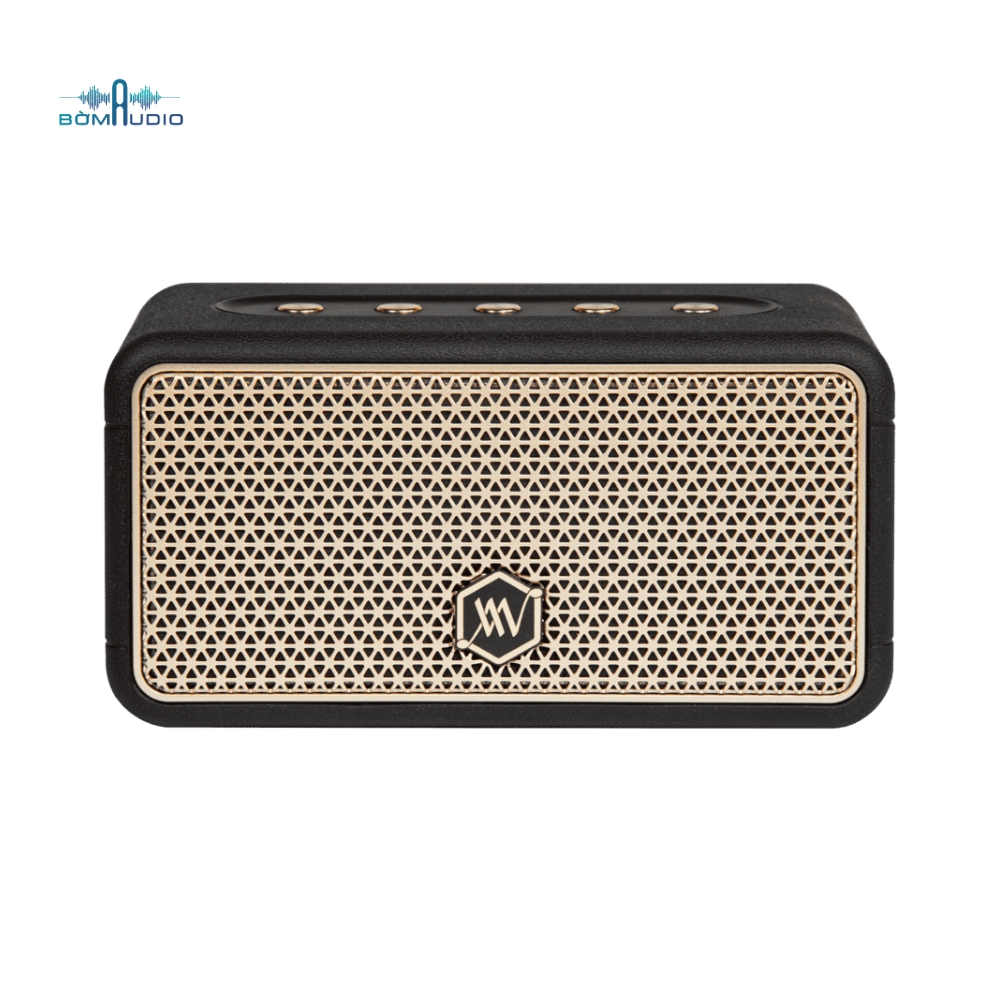 Loa Bluetooth ALPHA WORKS AW-W38