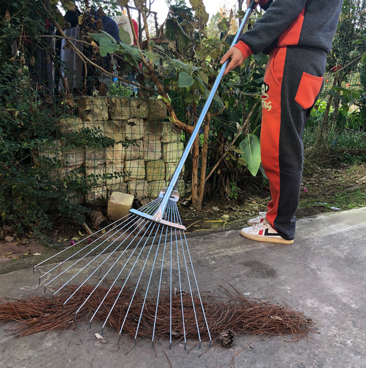 Chổi Cào Lá Cây_thumbnail_4