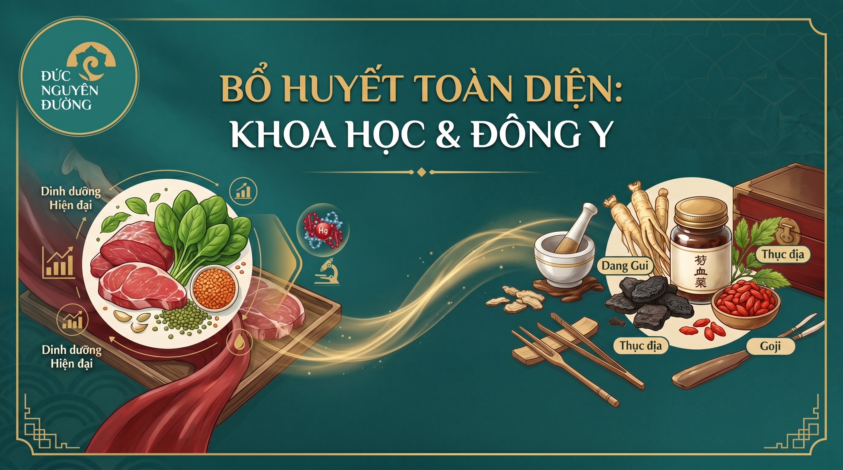 Bổ Huyết Đúng Khoa Học Và Lý Luận Đông Y