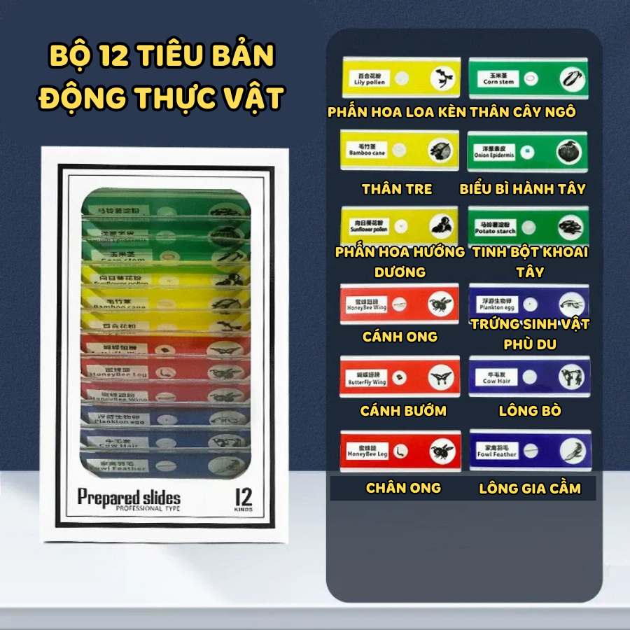 Kính Hiển Vi Cầm Tay Cho Bé, 60–120 Phóng Đại, Có Đèn Trắng Tím Tặng Kẹp Điện Thoại Khám, Phá Thế Giới 349KH_thumbnail_2