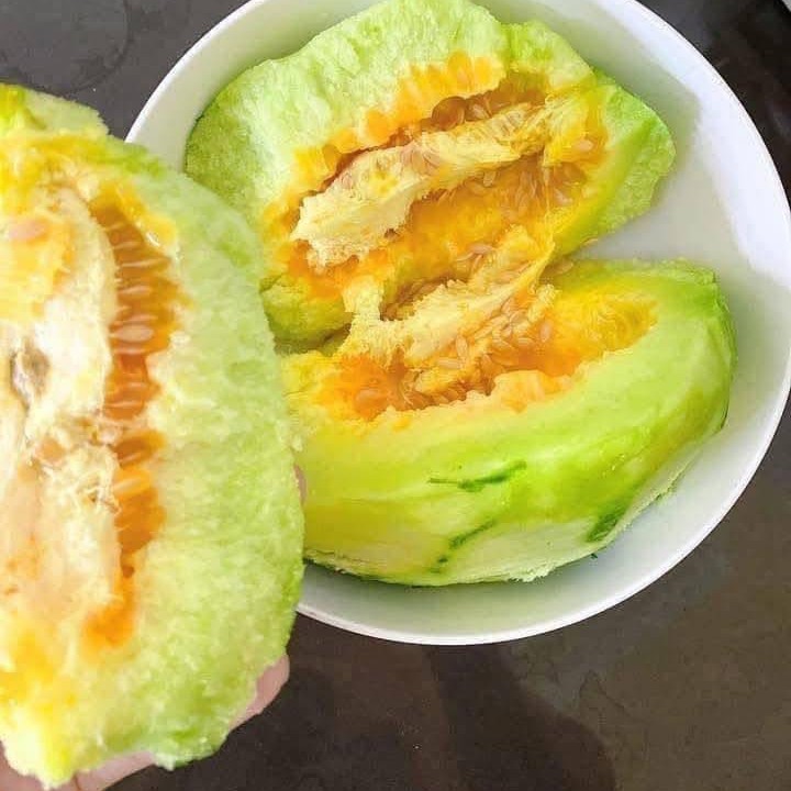 Dưa Gang_thumbnail_1