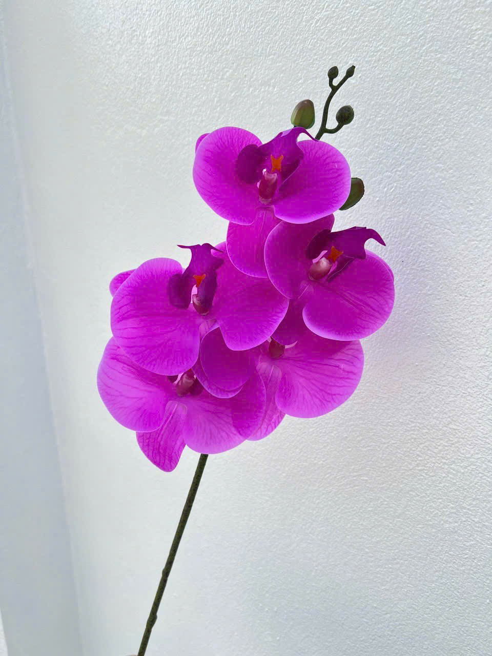 Cành Lan Ướt 7 Bông Hoa Lụa Trang Trí Đám Cưới – Sang Trọng Như Hoa Thật, Decor Sự Kiện Cao Cấp, Bền Đẹp Tiết Kiệm_thumbnail_11