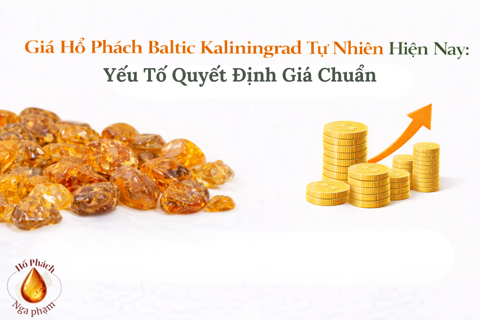 Giá Hổ Phách Baltic Kaliningrad Tự Nhiên Hiện Nay: Yếu Tố Quyết Định Giá Chuẩn