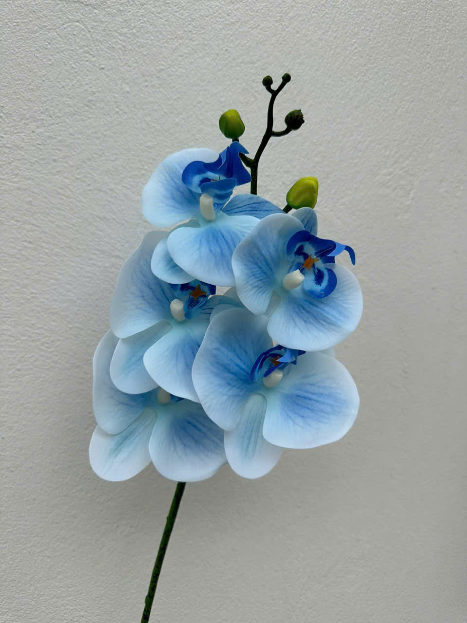 Cành Lan Ướt 7 Bông Hoa Lụa Trang Trí Đám Cưới – Sang Trọng Như Hoa Thật, Decor Sự Kiện Cao Cấp, Bền Đẹp Tiết Kiệm_thumbnail_14