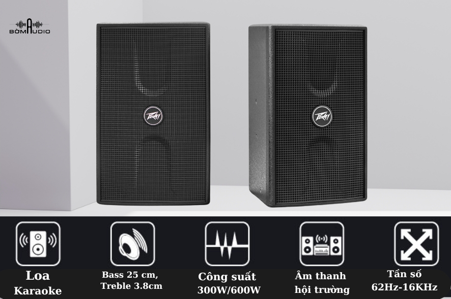 Loa Karaoke PEAVEY JAZZ12