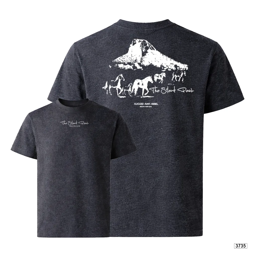 Áo thun nam oversize dày dặn đứng form streetwear style Polux 3735_thumbnail_0