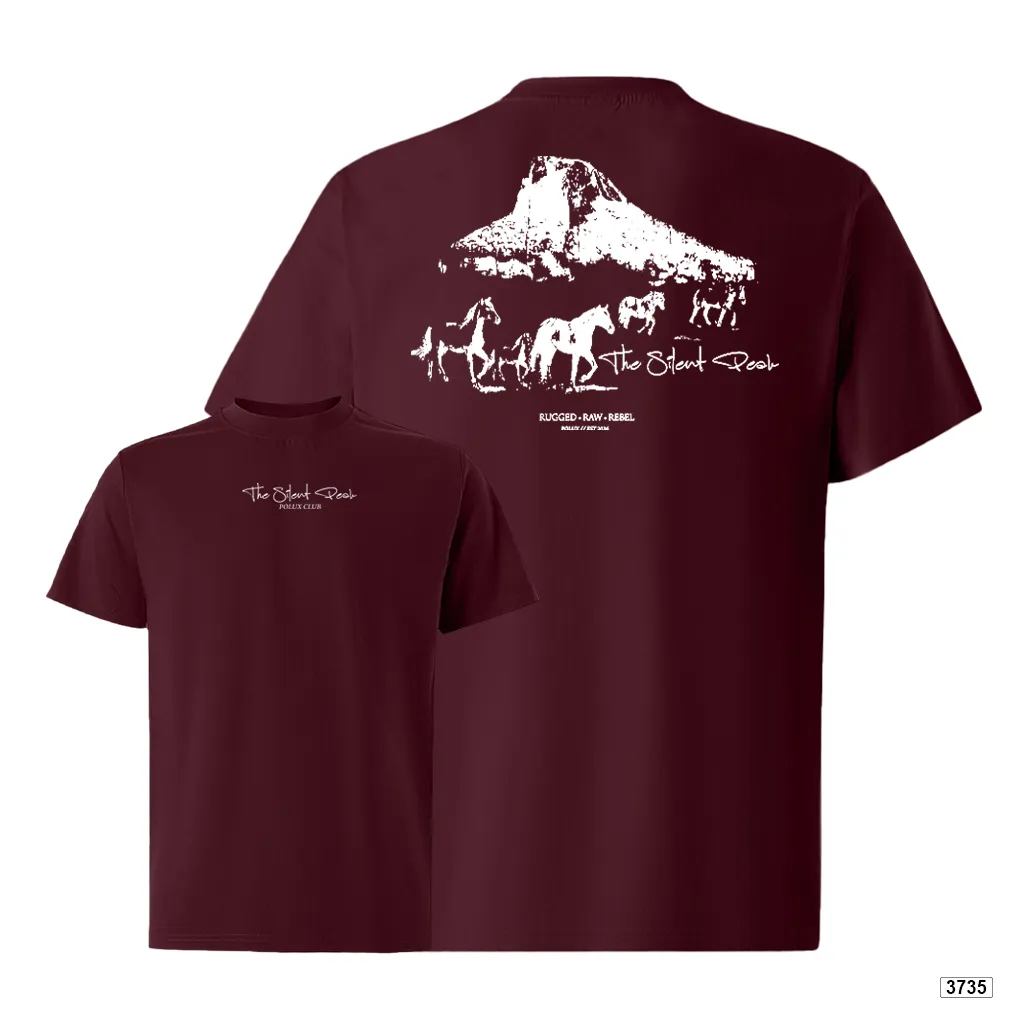 Áo thun nam oversize dày dặn đứng form streetwear style Polux 3735_thumbnail_17