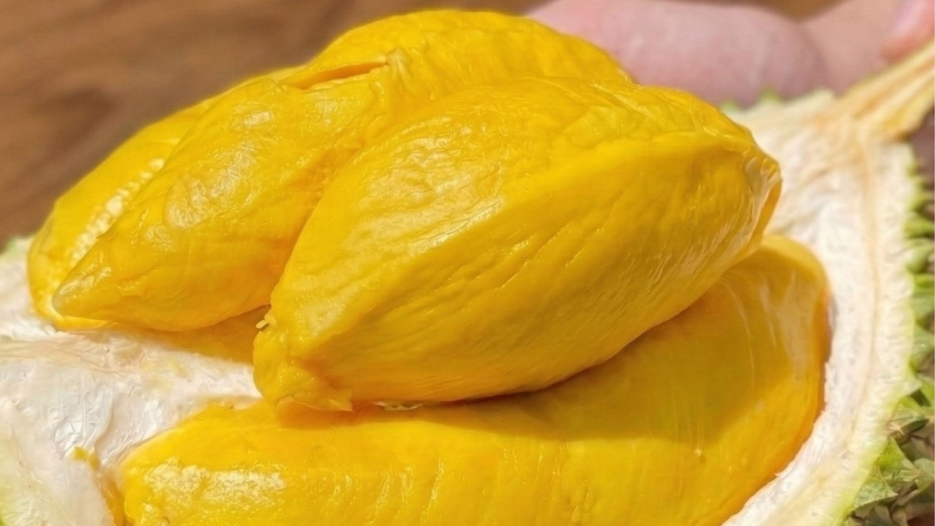 sầu riêng musang king 
