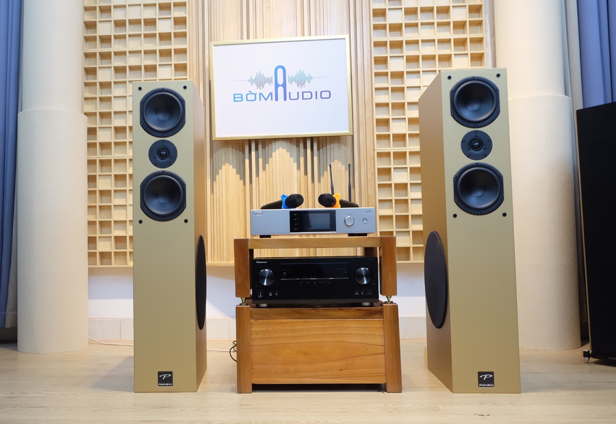 Hình ảnh chụp thực tế Combo Amply DBaucostic LX-H5 + loa Paramax D88 Luxury
